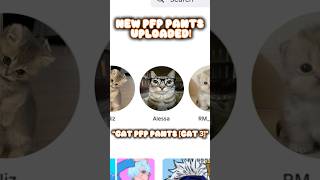 NEW CAT PFP’S IN MY GROUP!!🐱#roblox #robloxedit #robloxshorts