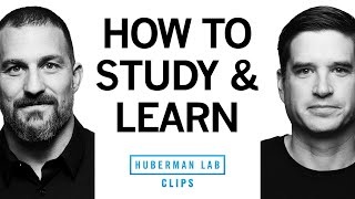 How to Study & Learn Using Active Recall | Dr. Cal Newport & Dr. Andrew Huberman