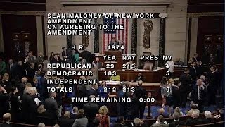 House Erupts in Chaos During LGBT Vote