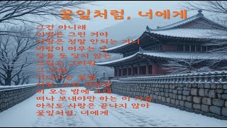 꽃잎처럼, 너에게 | 한국 전통 음악 | A Harmonious Blend of Korean Traditional Music