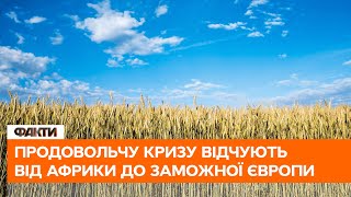 🔻 Вимушений неврожай. Чим обернеться війна в Україні для майбутнього урожаю?