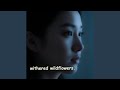 Fragments of Forever