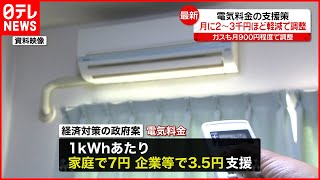 【電気料金】家庭負担額を2割程度軽減へ  経済対策の政府案