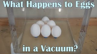 What Happens When You Put 6 Eggs In A Huge Vacuum Chamber?