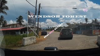 Windsor Forest, West Coast Dem, Guyana l Real Nice Guyana (HD)