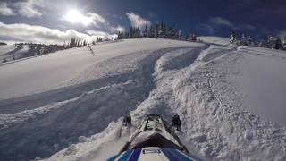 Hasler sledding