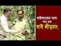 নাম ডক মাই শ্রীমুয়াং | থাইল্যান্ডের আম | Nam Doc Mai Srimuang | Mango | Thailand