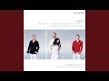 The Wandering Kind (arr. B. Bacanu, V. Petrov, C. Sietzen and Emiko Uchiyama for 4 marimbas)
