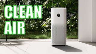 Best Air Purifier for your home