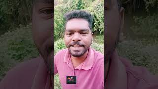 #கஞ்சா கீழ் இருக்குறவன் தான் மாட்டுறான்? |  மேல் இருப்பவன் நிலை! #shorts  | #tamilnadu