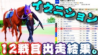 【一口馬主】イグニション、12戦目出走結果。-見せ場は作るも直線で失速、条件を模索し状態を整え再度挑戦へ-【ノルマンディーOC】