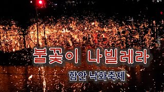 불꽃이 나빌레라 / 함안 낙화축제