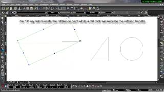 Moving the Reference Point Using the Selector