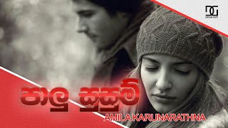 Pera Sansare ( Paalu Susum Gena Ridum) - Amila Karunarathna - Dream Gate Music @ 2019