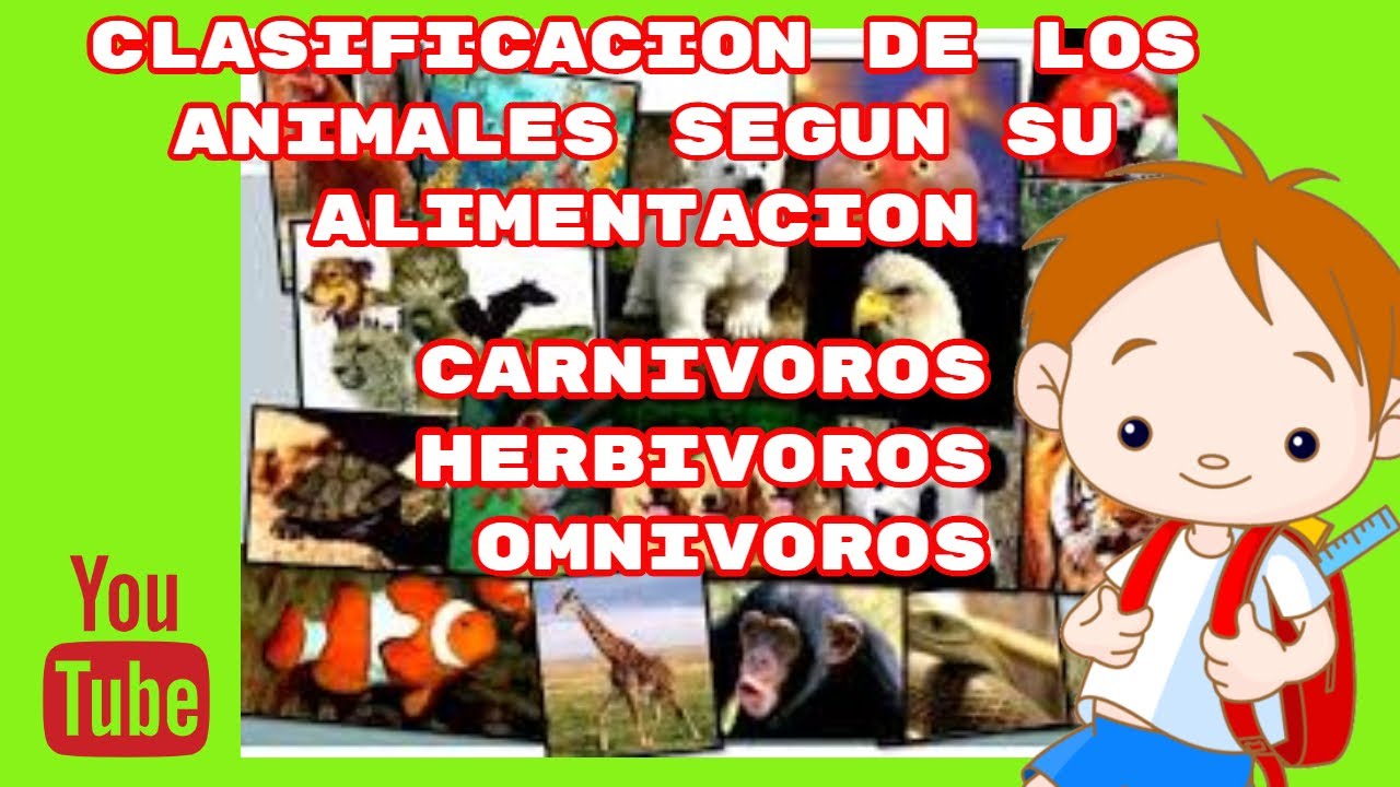 ALIMENTACIÓN DE LOS ANIMALES : HERBÍVOROS, CARNÍVOROS Y OMNIVOROS(PARA ...