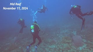 Mid Reef, November 11, 2024