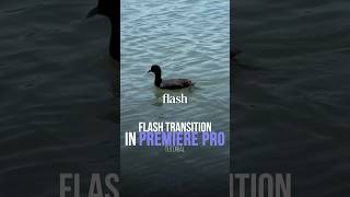 Camera Flash Transition in Premiere Pro Tutorial