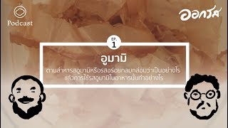 ออกรส | EP. 01 | อูมามิ : ตามล่าหารสอูมามิหรือรสอร่อยกลมกล่อมว่าเป็นอย่างไร