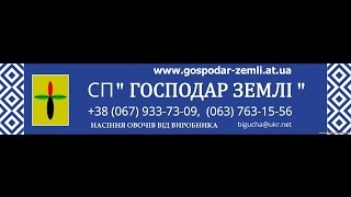 Насіння овочів, оптом, виробник, сп господар землі