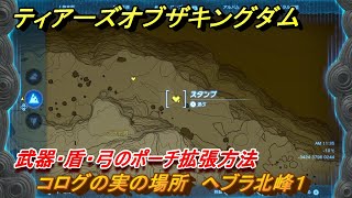 ティアキン　コログの実の場所　ヘブラ北峰１　武器・盾・弓のポーチ拡張方法　＃１０６５　【ゼルダの伝説ティアーズオブザキングダム】