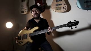 WHAT IS FRETLESS BASS