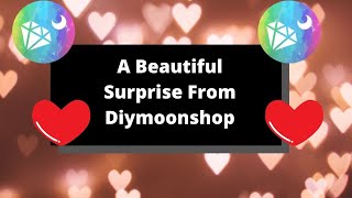 A Beautiful Surprise From DIYMOONSHOP