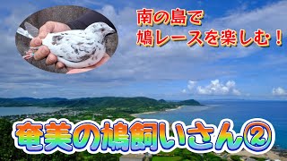 海上レースに挑戦！「奄美の鳩飼いさん」②