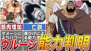 【ONE PIECE】ウルージのヤバすぎる能力！未だに謎だらけのウルージの食べた悪魔の実を徹底解説【ゆっくり解説】