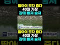 한국농수산tv 딸아이 모자 줍다 40대 가장 강에 빠져 숨져