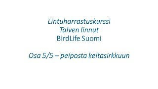 Talvilintukurssi osa 5/5 - BirdLife Suomi