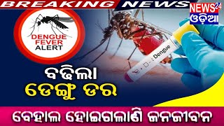 News24odia # Dengue News # ଭୁବନେଶ୍ୱର ରେ ବଢ଼ିଲା ଡେଙ୍ଗୁ ଡର #