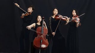 The Magnolia Quartet | 上海女子四重奏