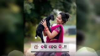 #shortvideo  ଏ ପିଲେ ଖାଇ ଚାଲ ଆମର ଶିକାର ତୁନେ ଅଛେ ମନ ଗୋ ଜଲଦି ଆନ