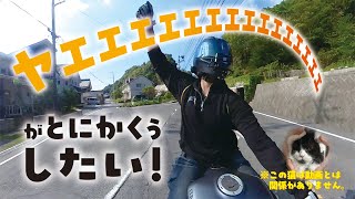 ヤエｪｪｪｪー！がしたい外人【モトブログ】【外人の冒険】