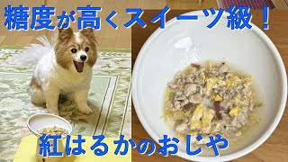 【17歳老犬の手作りごはん】鶏肉と紅はるかのおじや（いもの皮も使用します！）