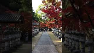 佛通寺で秋の紅葉を感じよう♫