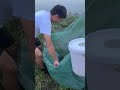 用漁網抓鱔魚，會有意外的驚喜嗎？ 農村生活 熱門 fishing