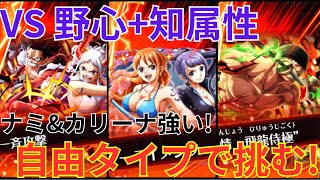 【トレクル】ナミ\u0026カリーナ相変わらずの強さ！！自由タイプ編成で知＋野心タイプ属性を倒す！【海賊祭 己の手で切り拓く冒険】【予選A】