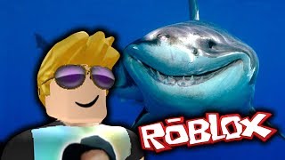 Money Hack Sharkbite Roblox - hacks for roblox and sharkbite