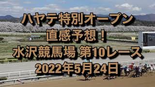 ハヤテ特別オープン 直感予想！ 水沢競馬場  第10レース 2022年5月24日