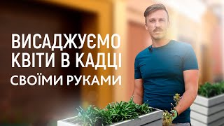 ЛАНДШАФТНИЙ ДИЗАЙН | БАГАТОРІЧНИКИ ТА ЗЛАКИ У ВУЛИЧНІЙ КАДЦІ