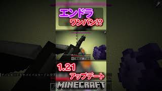 【マイクラ1.21】新アイテム\