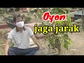 Oyon jaga jarak