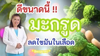 ดีขนาดนี้ !! มะกรูด ลดไขมันในเลือด ห้ามพลาด | Bergamot | พี่ปลา Healthy Fish