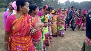 Santali Tribe video || Musamari tamsa Enej 2021/2022 || SRS santali