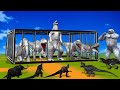 Gorilla Heroic Rescue Caged white animals From black animals || A Comedy Adventure of Dinosaurs 2024