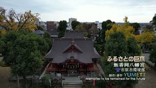 【千葉県市原市】空から見た巨木の映像「ふるさとの巨木」～飯香岡八幡宮～