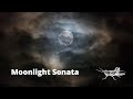 Beethoven - Moonlight Sonata | with Relaxing Summer Night Voices in the Nature