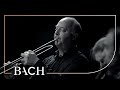 Bach - Allegro from Brandenburg concerto no. 2 in F major BWV 1047 | Netherlands Bach Society