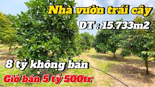 NHÌN TIẾC QUÁ LUÔN || vườn trái cây có nguồn thu ổn định . Chủ không giữ nổi buộc bán rẻ để lo việc